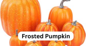 Frosted Pumpkin