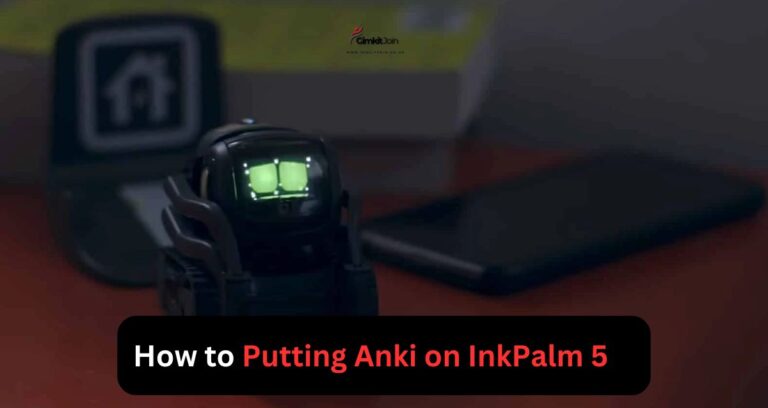 How to Putting Anki on InkPalm 5